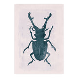 Beetle 3 (Print Only) thumbnail