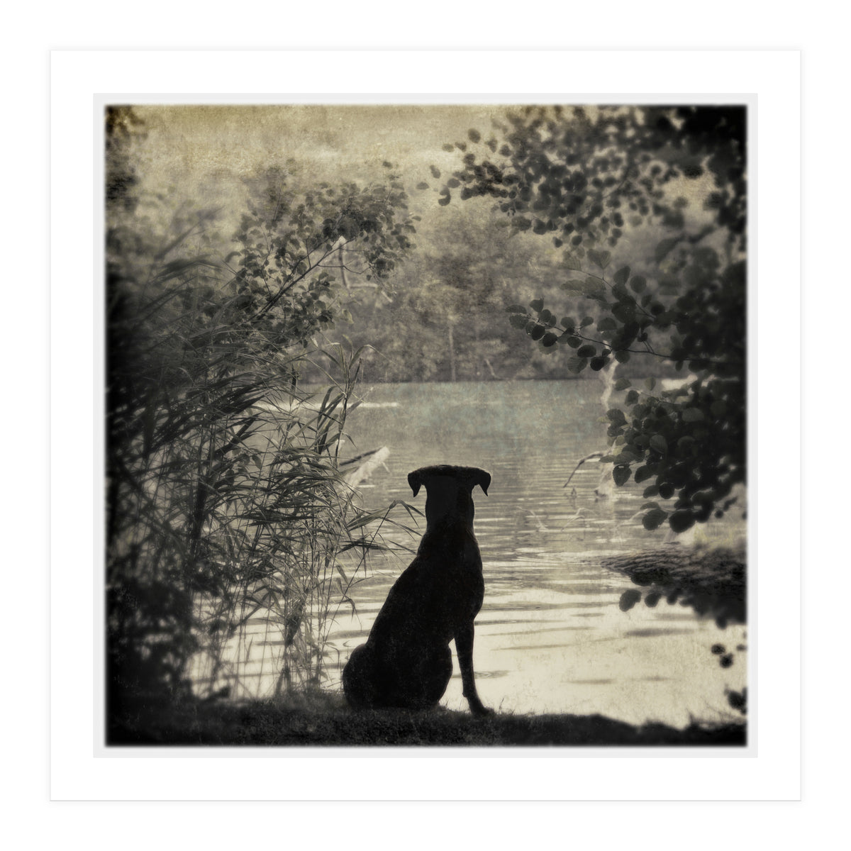 Waiting for you (Print Only)