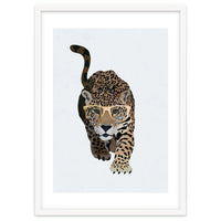 Catwalk Jaguar Wearing Gold Glasses