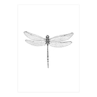 Dragonfly Wings (Print Only)