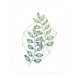 Geometry And Nature III (Print Only) thumbnail