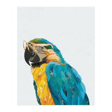 Macaw Portrait wearing gold glasses (Print Only) thumbnail