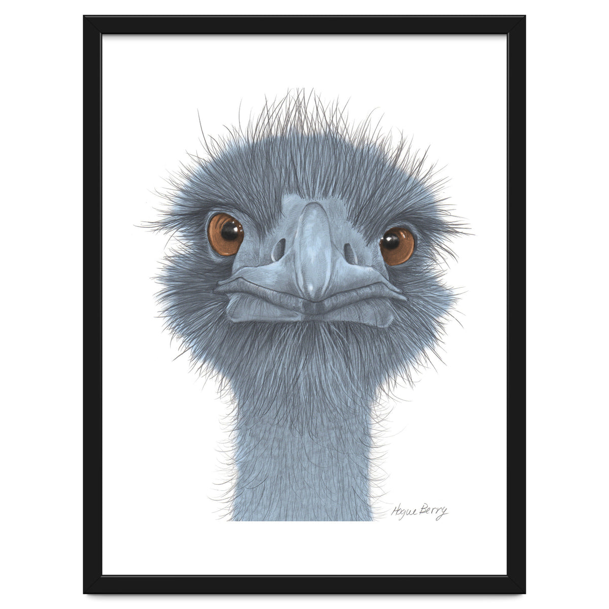 The Blue Emu