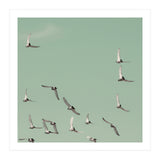 Mint Skies (Print Only) thumbnail