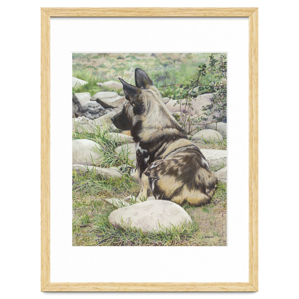 African Painted Dog I