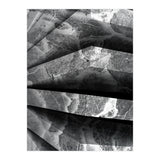 Parole  (Print Only) thumbnail