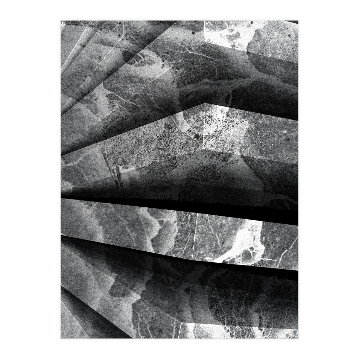 Parole  (Print Only)