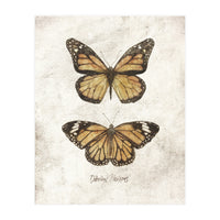 Butterflies VII (Print Only)