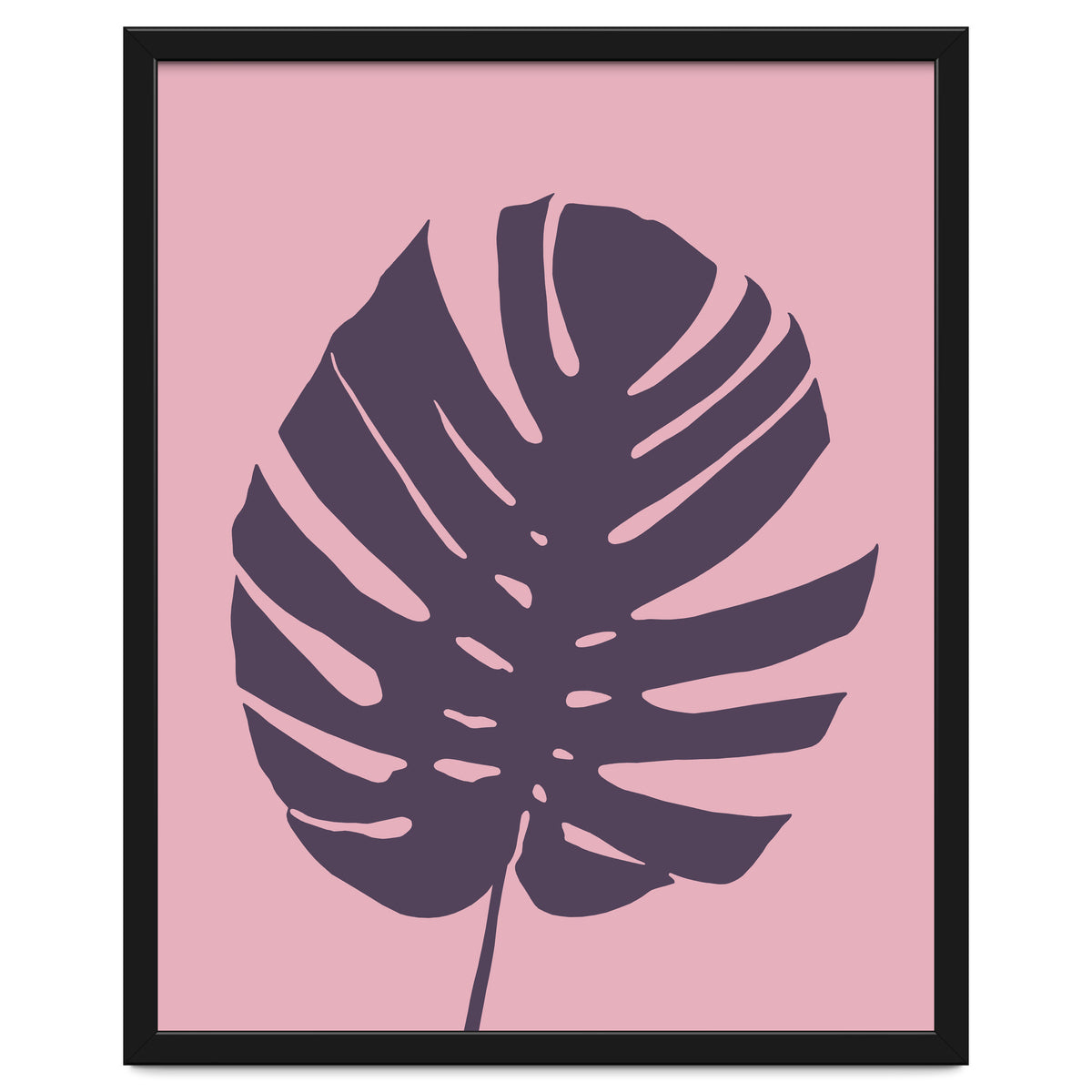 Monstera Deliciosa III