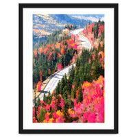 Valley of Pink Trees | Fantasy Pop of Color Forest Nature | Jungle Adventure Road Trip Pine