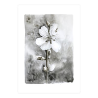 White flower (Print Only)