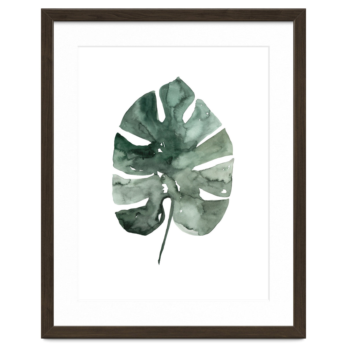 Botanical Illustration Monstera Leaf