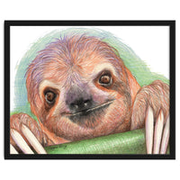 Smiling Sloth