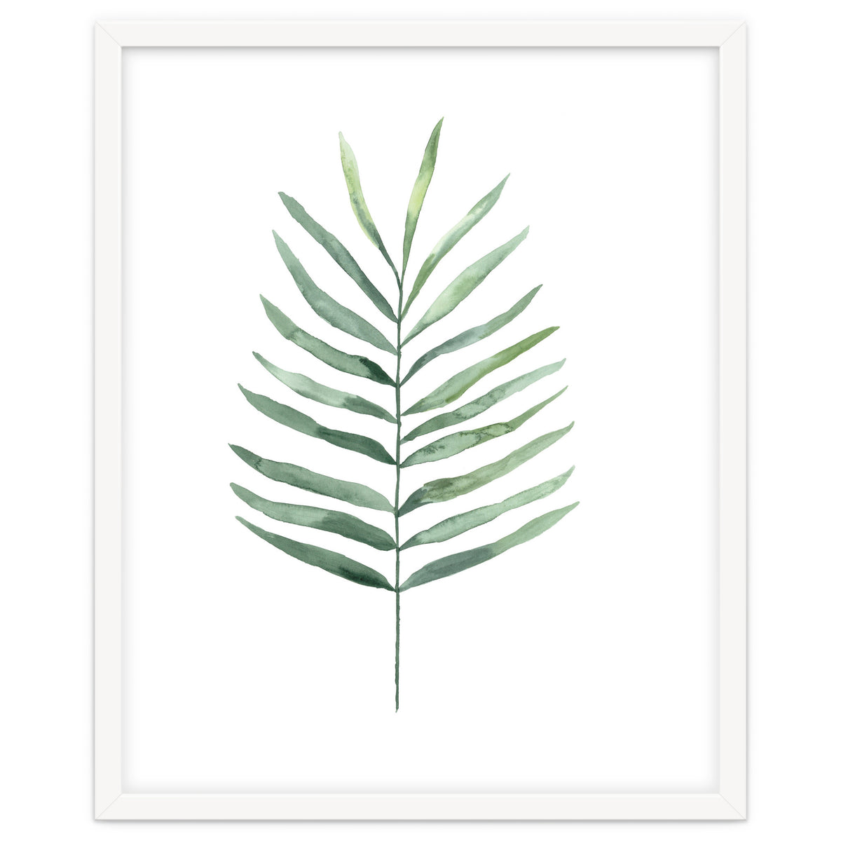 Botanical Illustration Fern