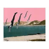 Dive (Print Only) thumbnail