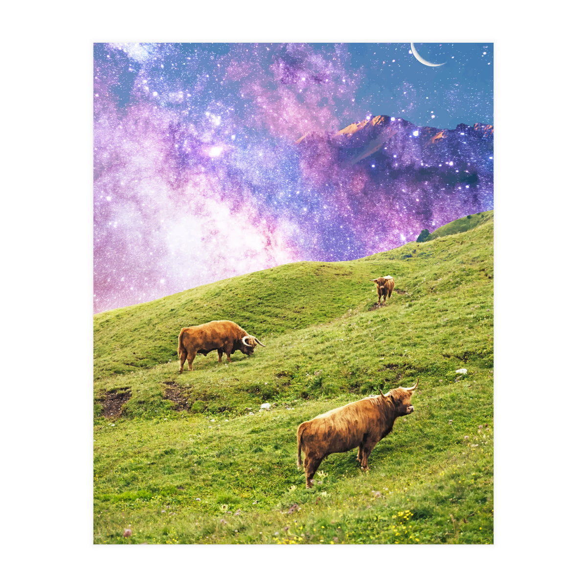 Space Cow Series II (Print Only)