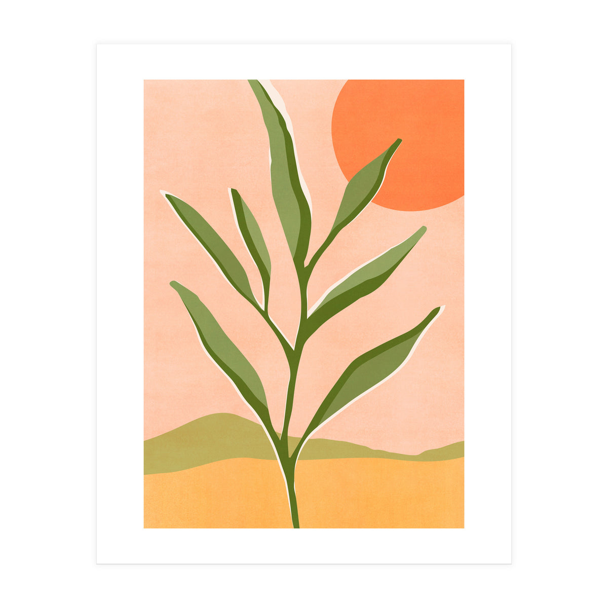 The Sun and The Succulent (Print Only)