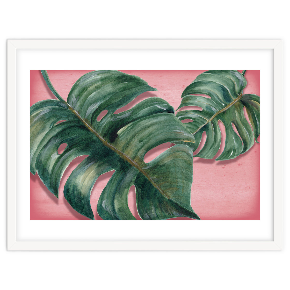 Monstera Leaf