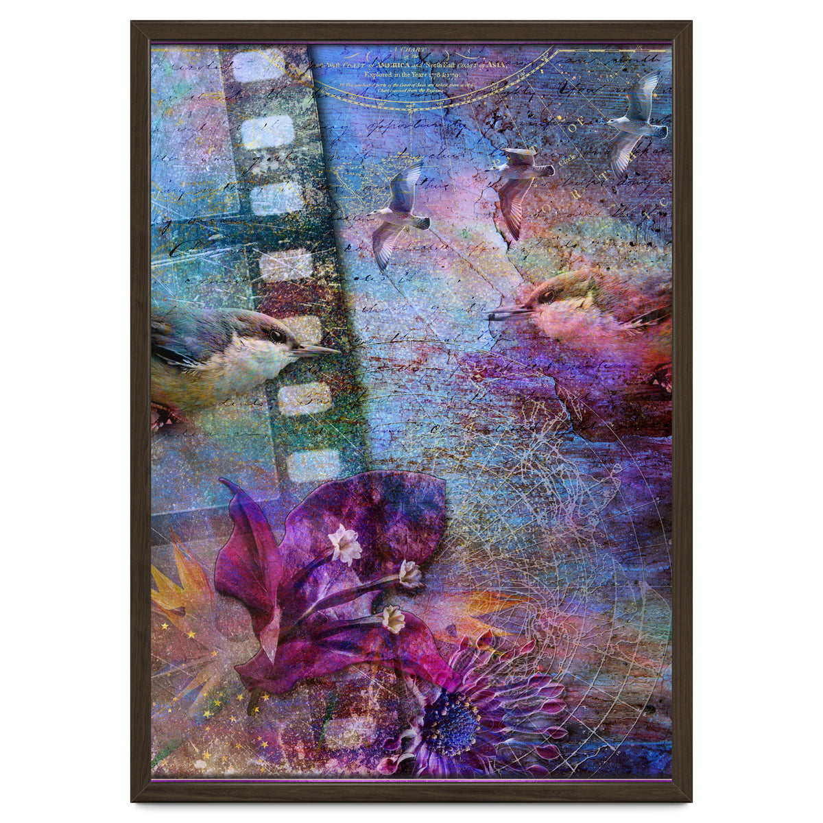 Watching the Wild World