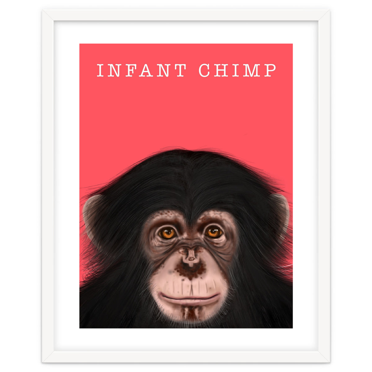 Infant Chimp