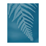Pteridopsida 2 (Print Only) thumbnail