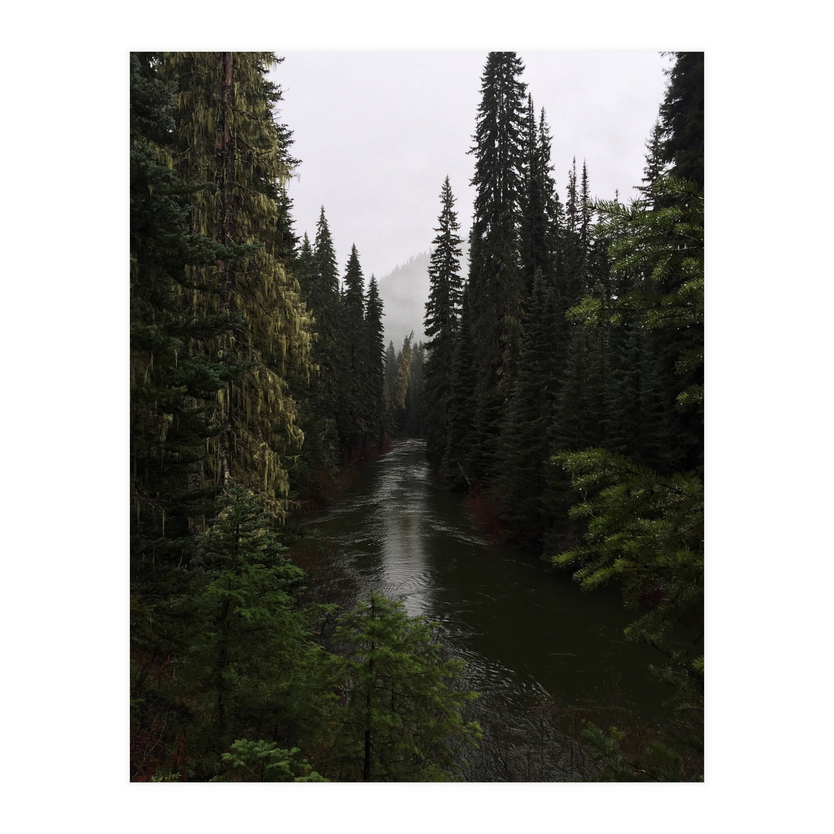 Evergreen State (Print Only)