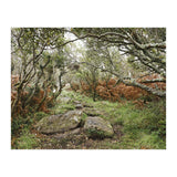 Undergrowth (Print Only) thumbnail