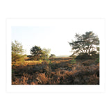Heath landscape (Print Only) thumbnail