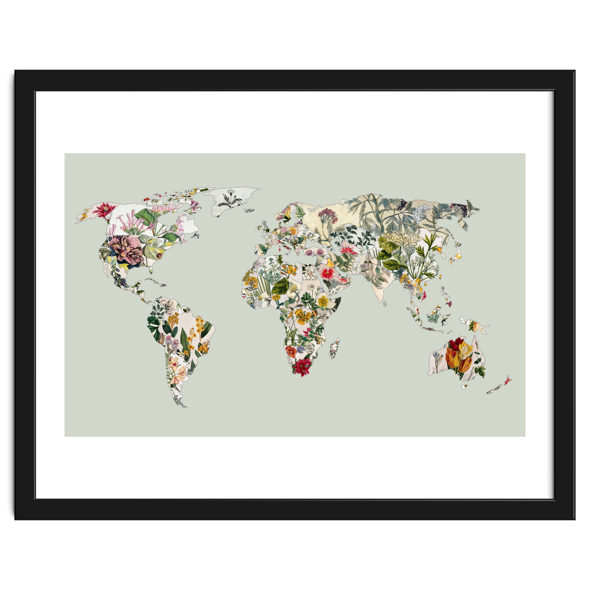 Vintage Botanical Map - Green
