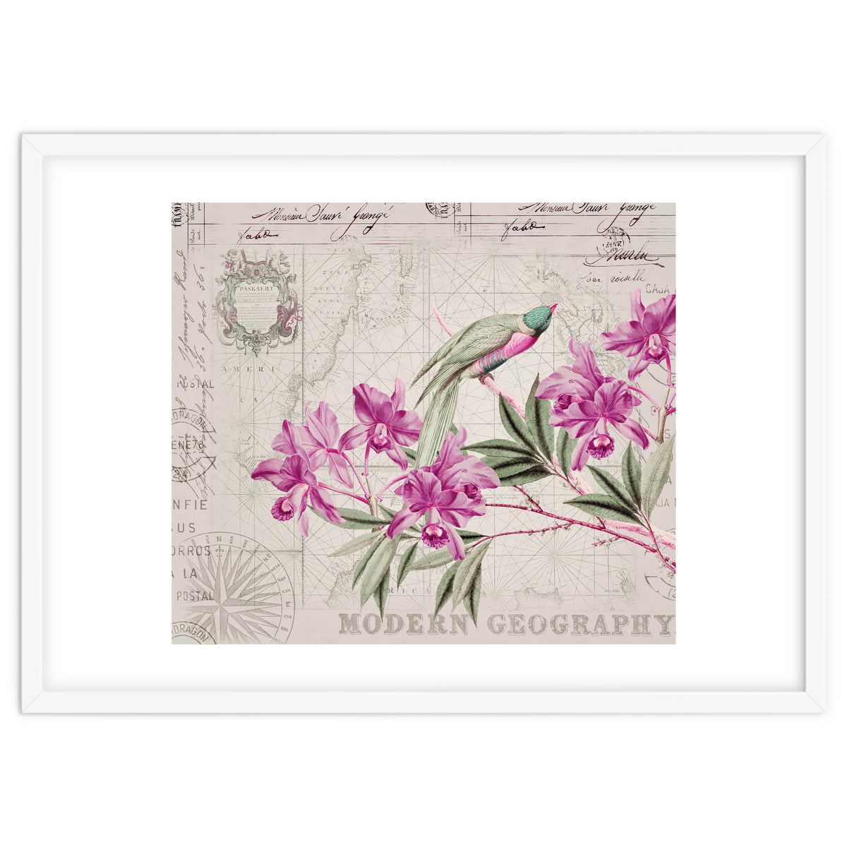 The Birds Voyage Of Discovery