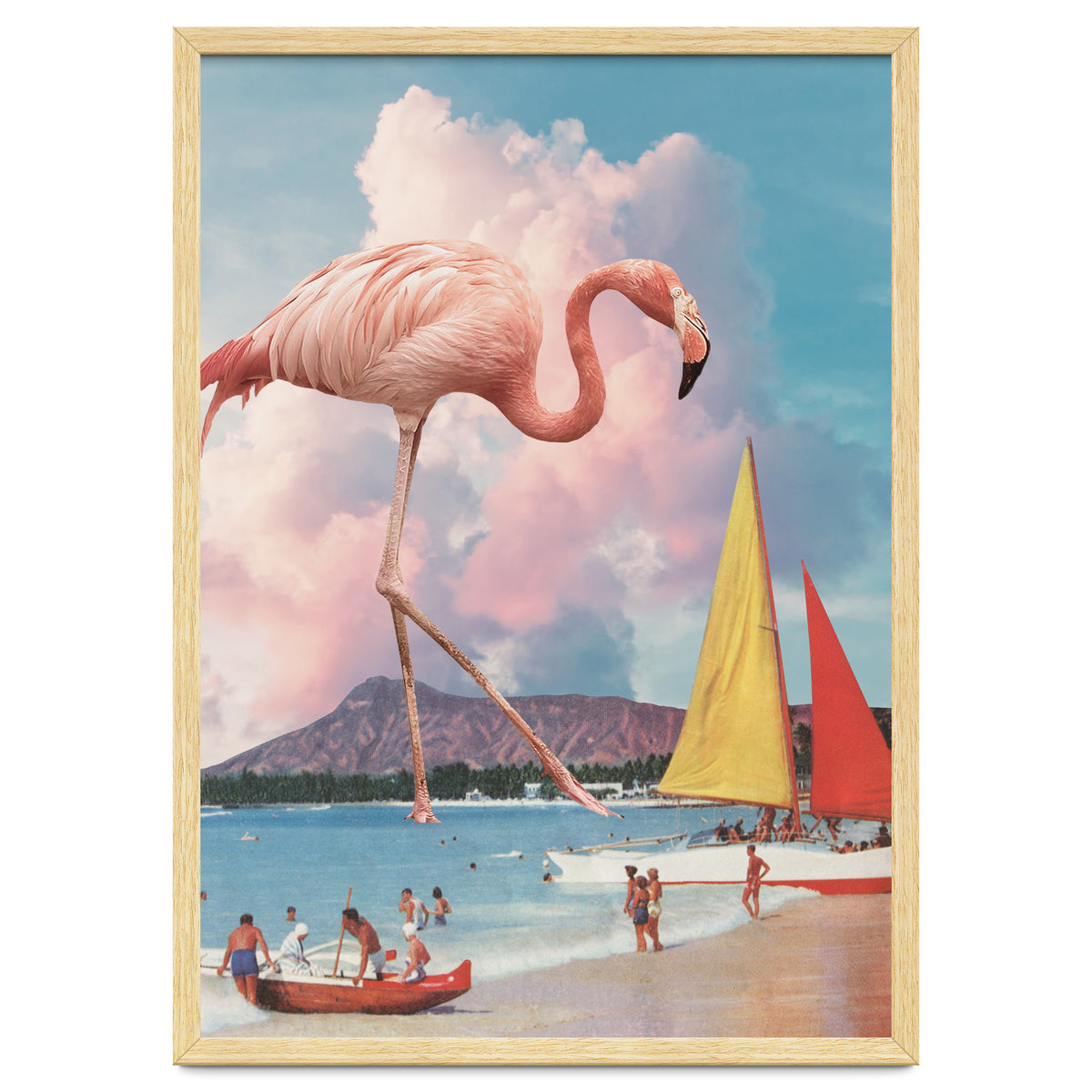 Flamingo Playground