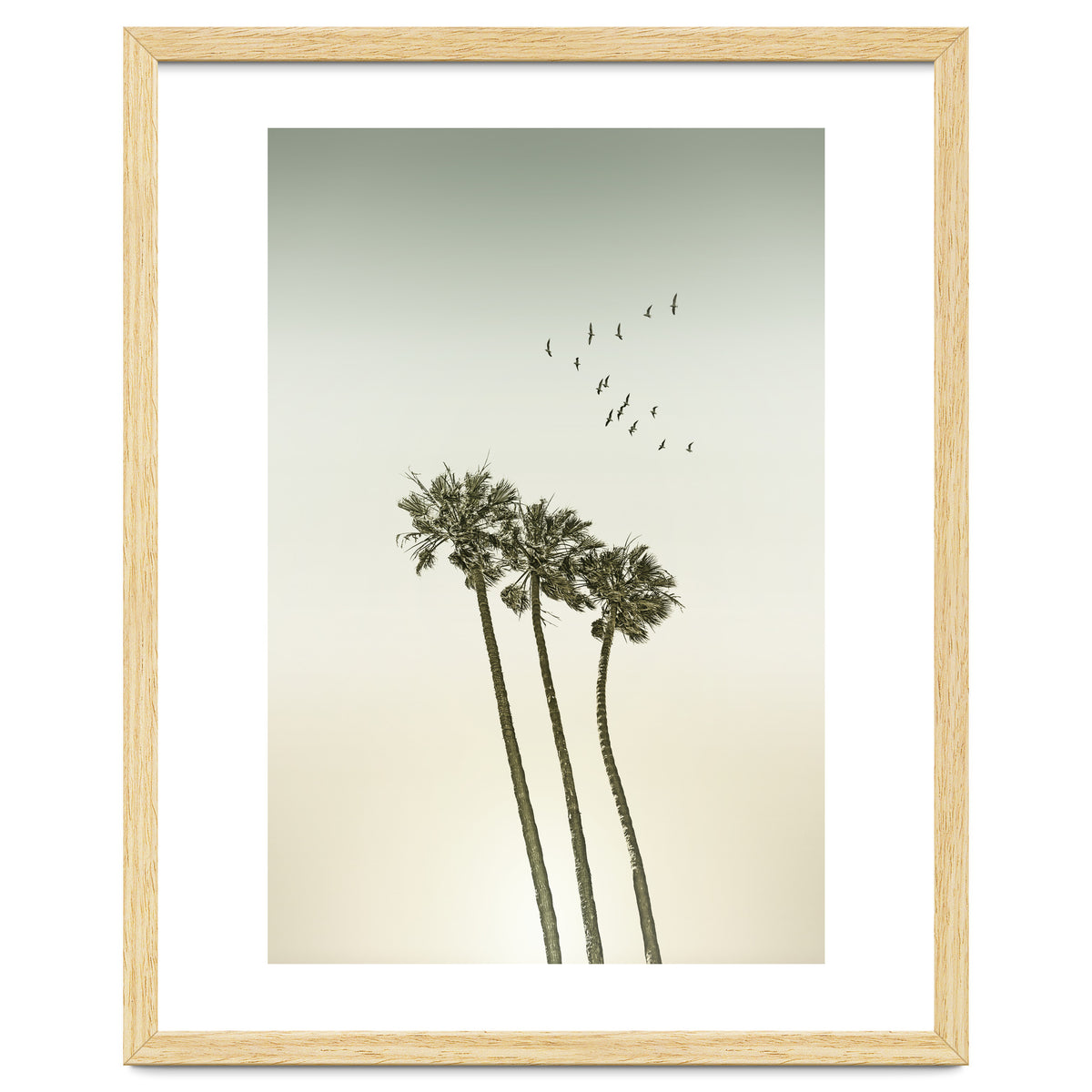 Vintage palm trees at sunset