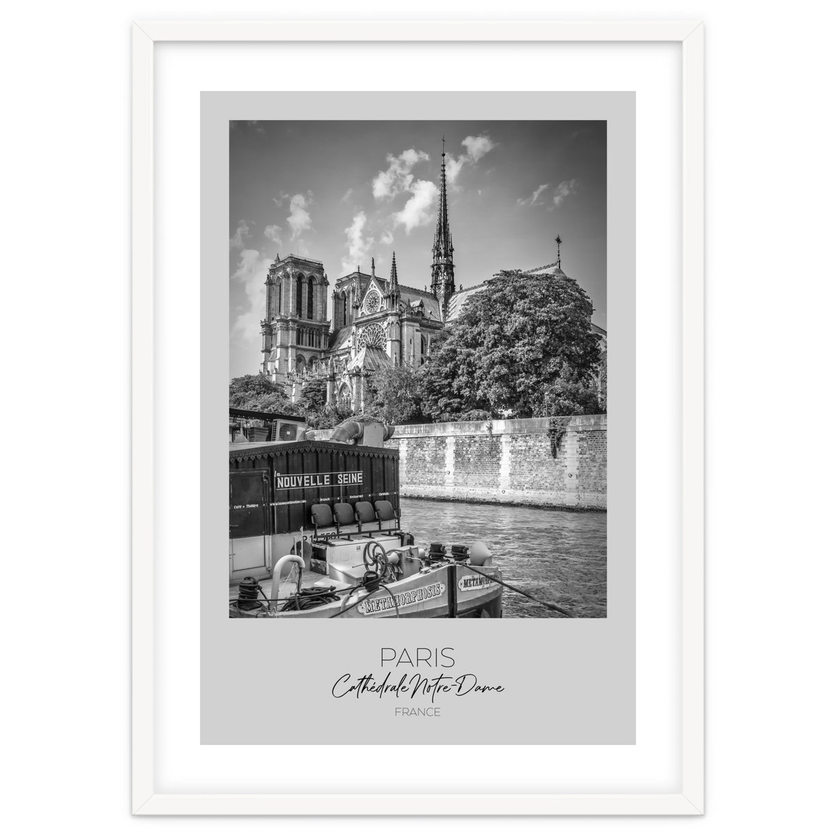 In focus: PARIS Cathedral Notre-Dame