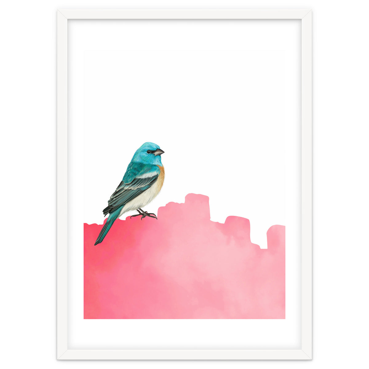 Bird Pink