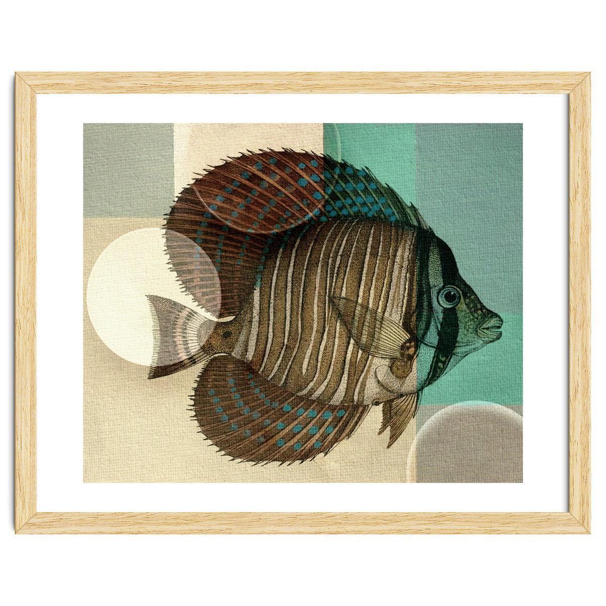 Fish Between Circles 4