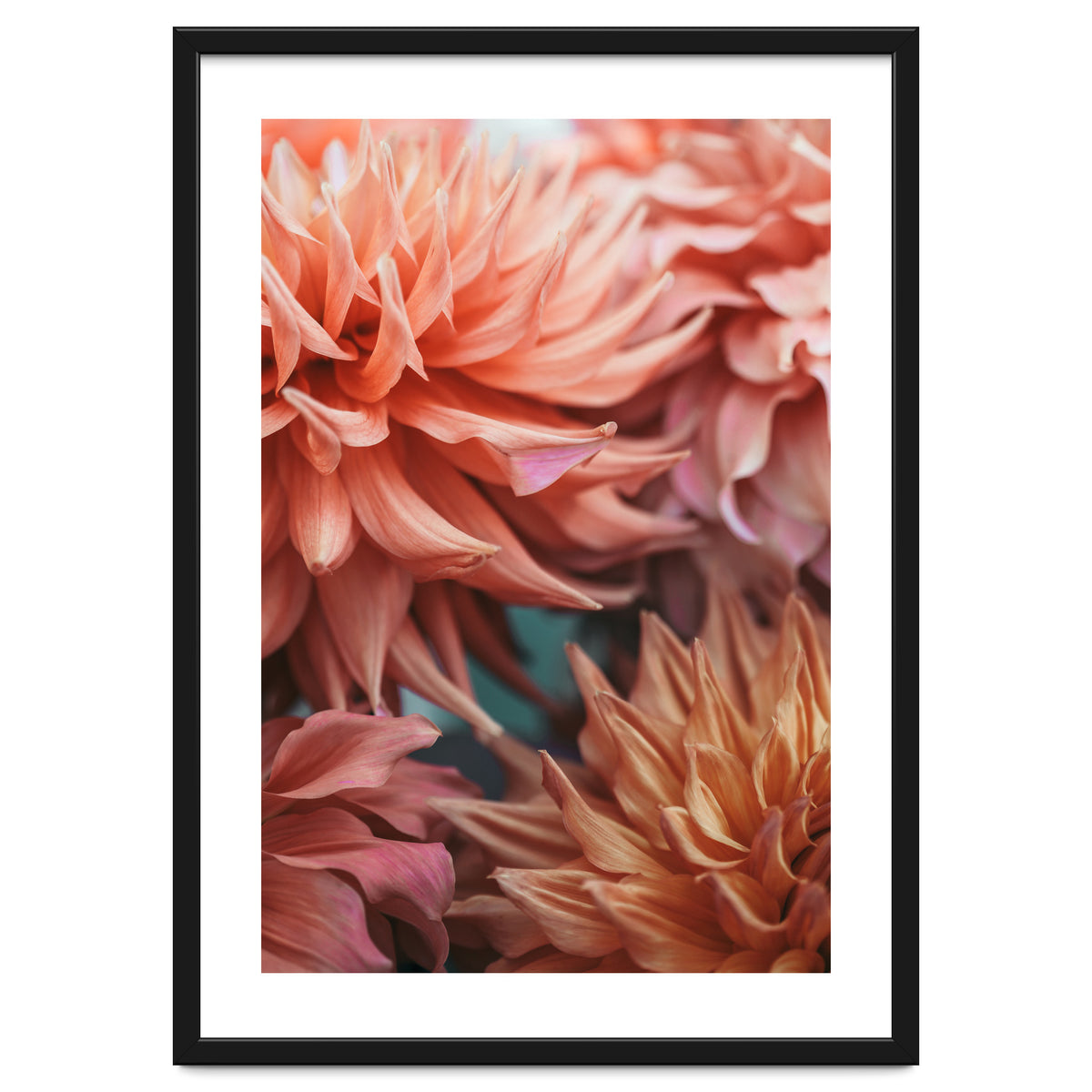 Vintage Dahlia