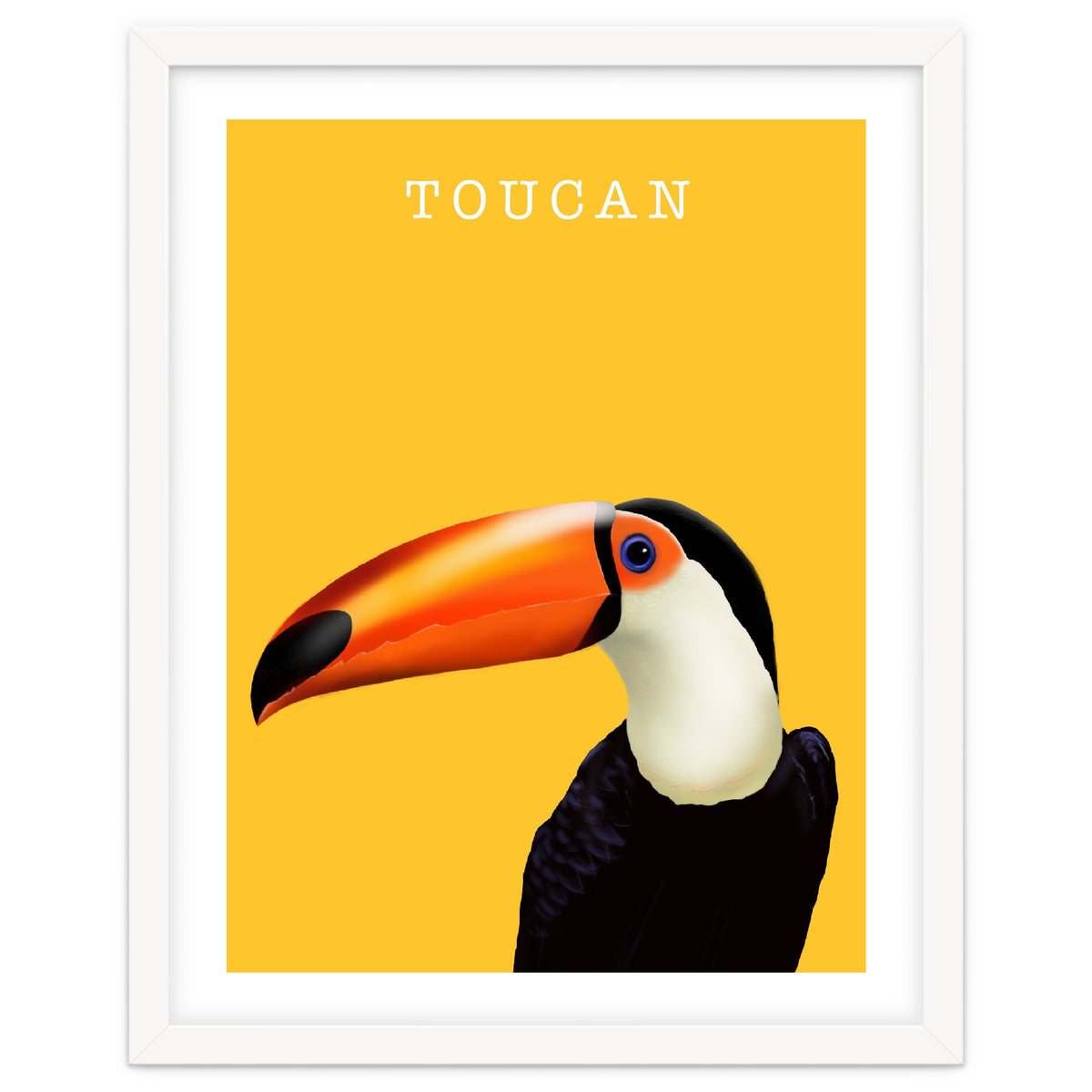 Toucan
