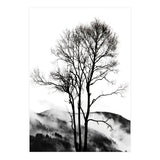 Rocky Mountains (Print Only) thumbnail