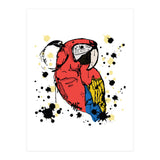 Guacamaya sketch (Print Only) thumbnail