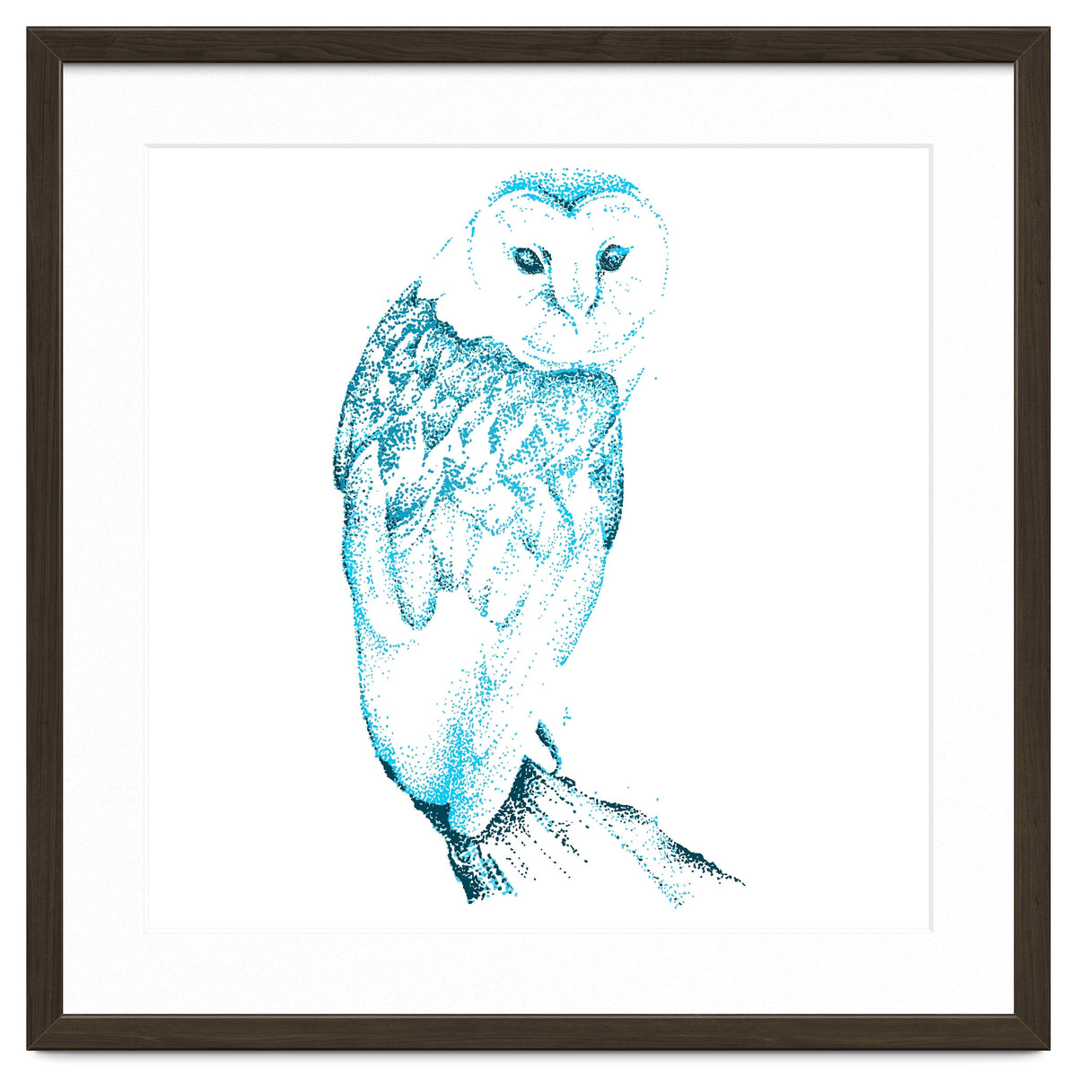 Barn Owl in Teal