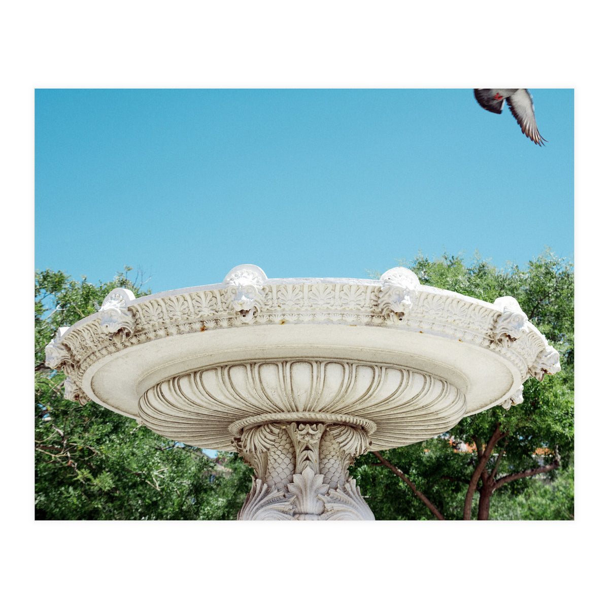 Holy Grail (Print Only)