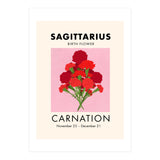 Sagittarius Birth Flower Carnation  (Print Only) thumbnail