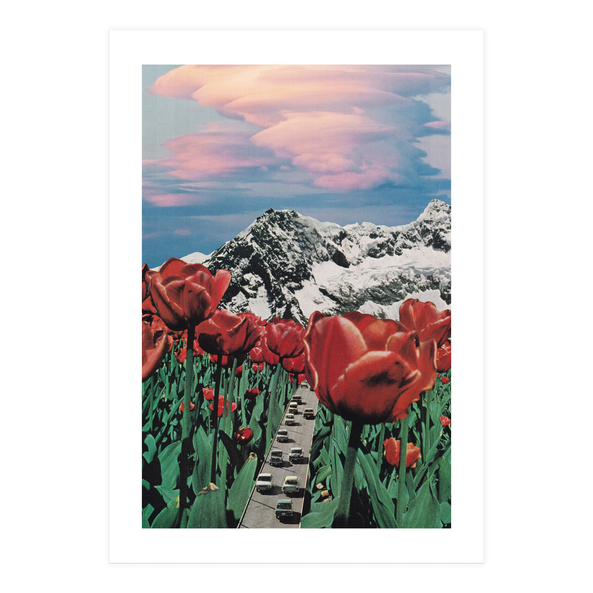 Tulip Road (Print Only)