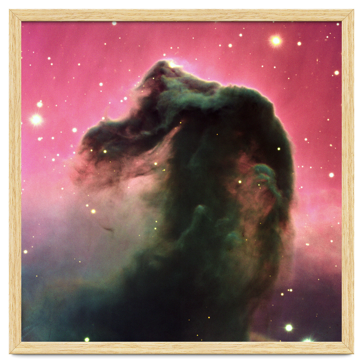 The Horsehead Nebula