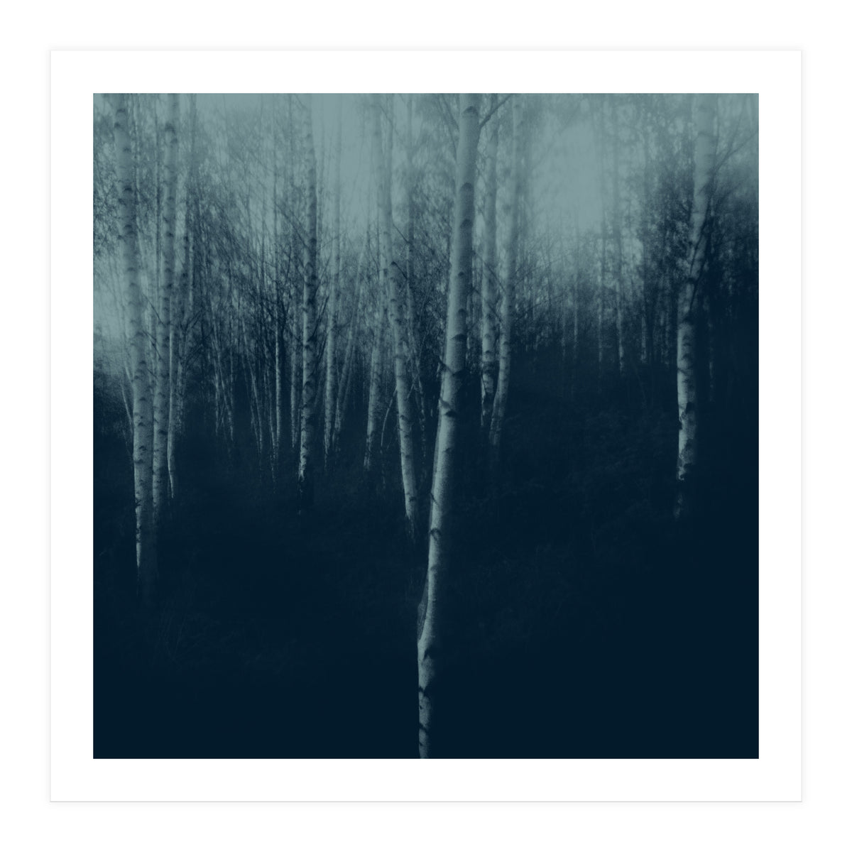 deep veins I (Print Only)