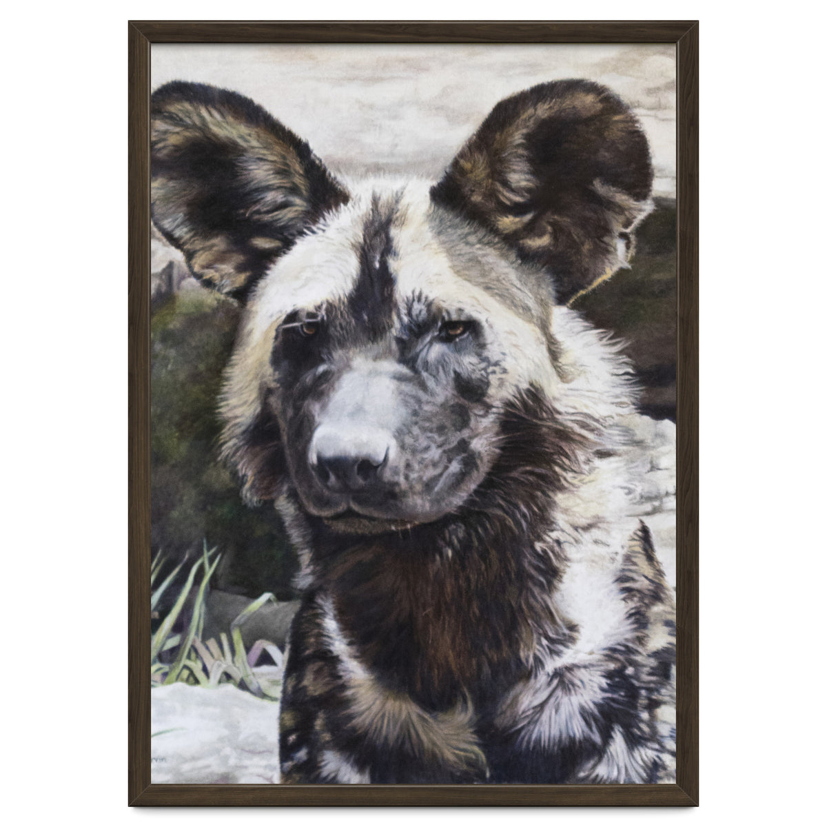 African Painted Dog II