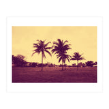 Palm Trees (Print Only) thumbnail