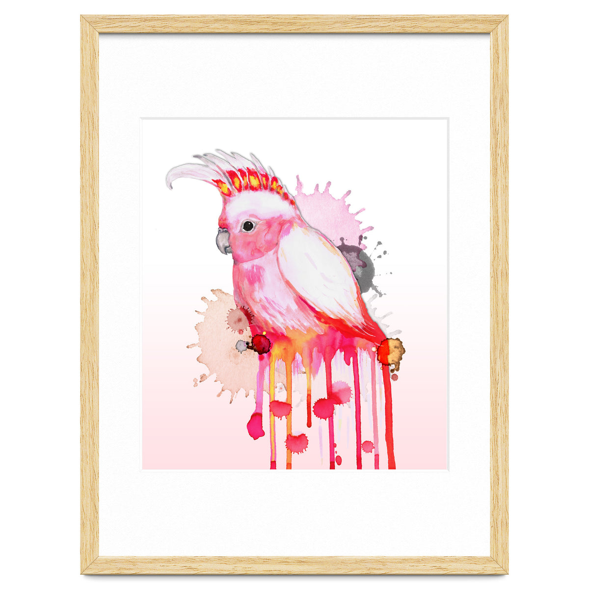 Major Mitchell's cockatoo