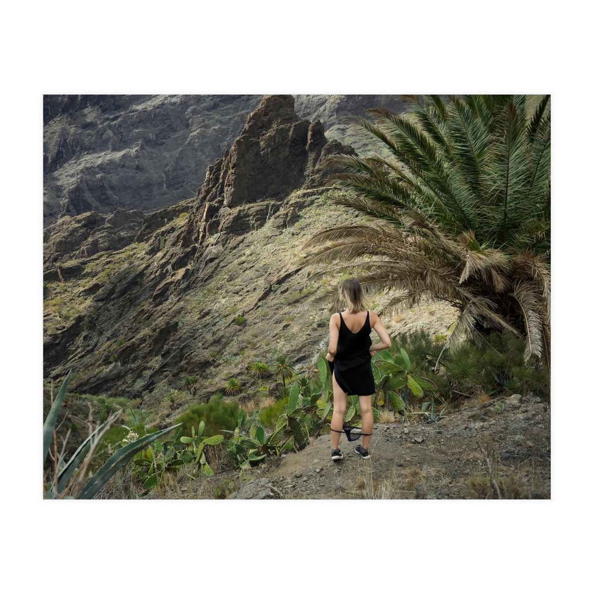 Pirates' Hideout (Print Only)