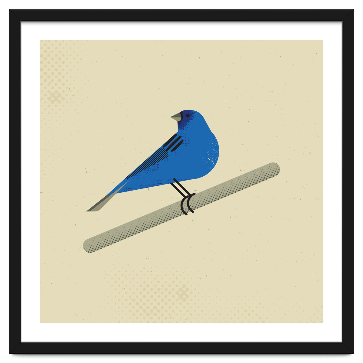 Indigo Bunting